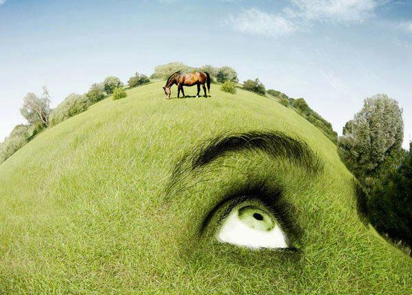 المساحةُ التي تناسبُ عيشنا