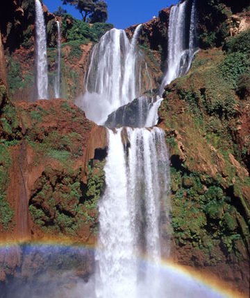 شهادة في التجربة الإبداعية: أنا من سلالة مائية