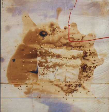 هناء مال الله وشاكر حسن آل سعيد:  (تأملات في المحيط)  وشيئية اللوحة