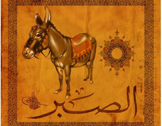 لأجل البهائم ينزل الله المطر!