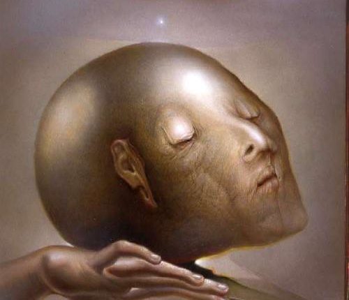 Octave Landuyt (بلجيكيا)