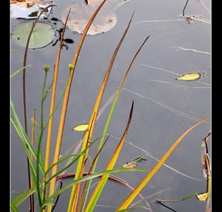 الأوان ومحرّكات البحث.. والمردوديّة التي نريدها