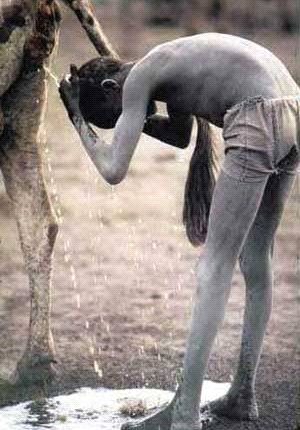 في البول والبول الطبّيوبذيله الإفادة الشرعيّة في بعض المسائل الطبّية المعروفة اختصارا بالطبّ النبويّ