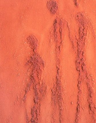 الأقلّيّات والمواطنة في العالم العربيّ