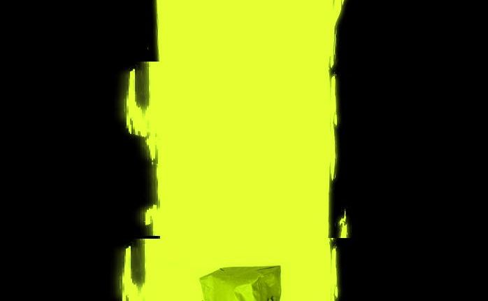 رسالة مفتوحة إلى الُثورجيين الفرنسيين الذين لم يفقهوا من الأصولية الإسلامية شيئا