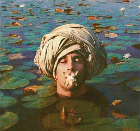 “الرد على هذه المشاركة”