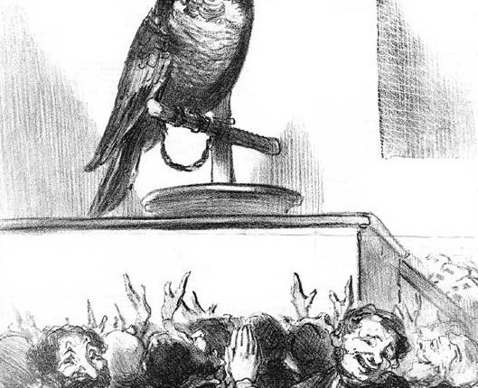 هل يُرَدُّ السلامُ على طائر الببغاء ؟!مختار الخلفاوي