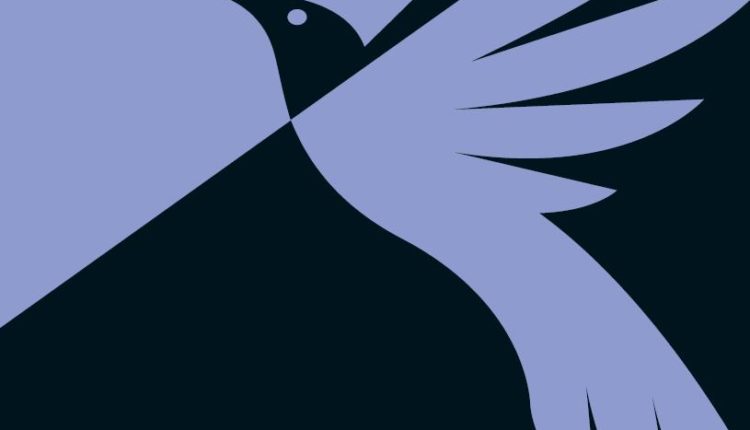 حقوق الإنسان بين الوضع الدولي والمسؤولية الدولية