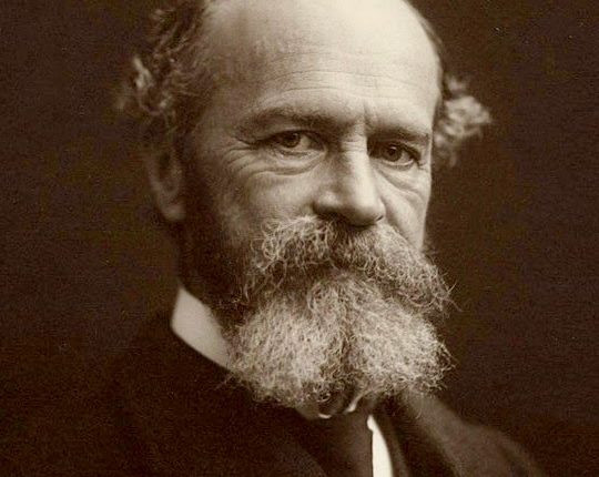 الحقيقي هو المفيد