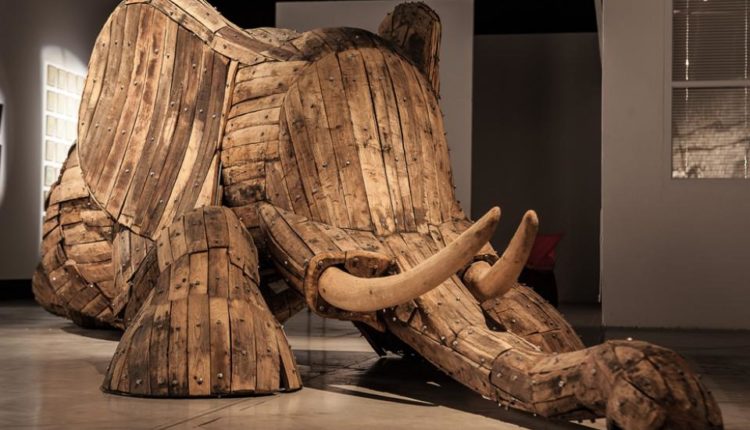 ثلاثون “كشّافاً” أفريقيا يزيّنون أفينيون بكنوز القارّة السمراء