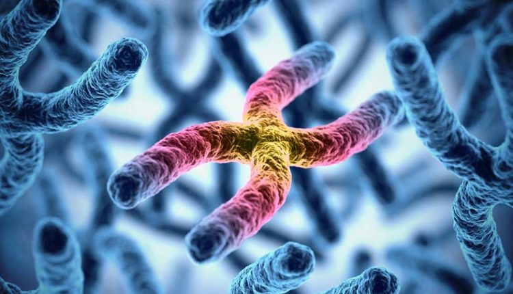 أصل الحياة وتطوّرها (ج3)